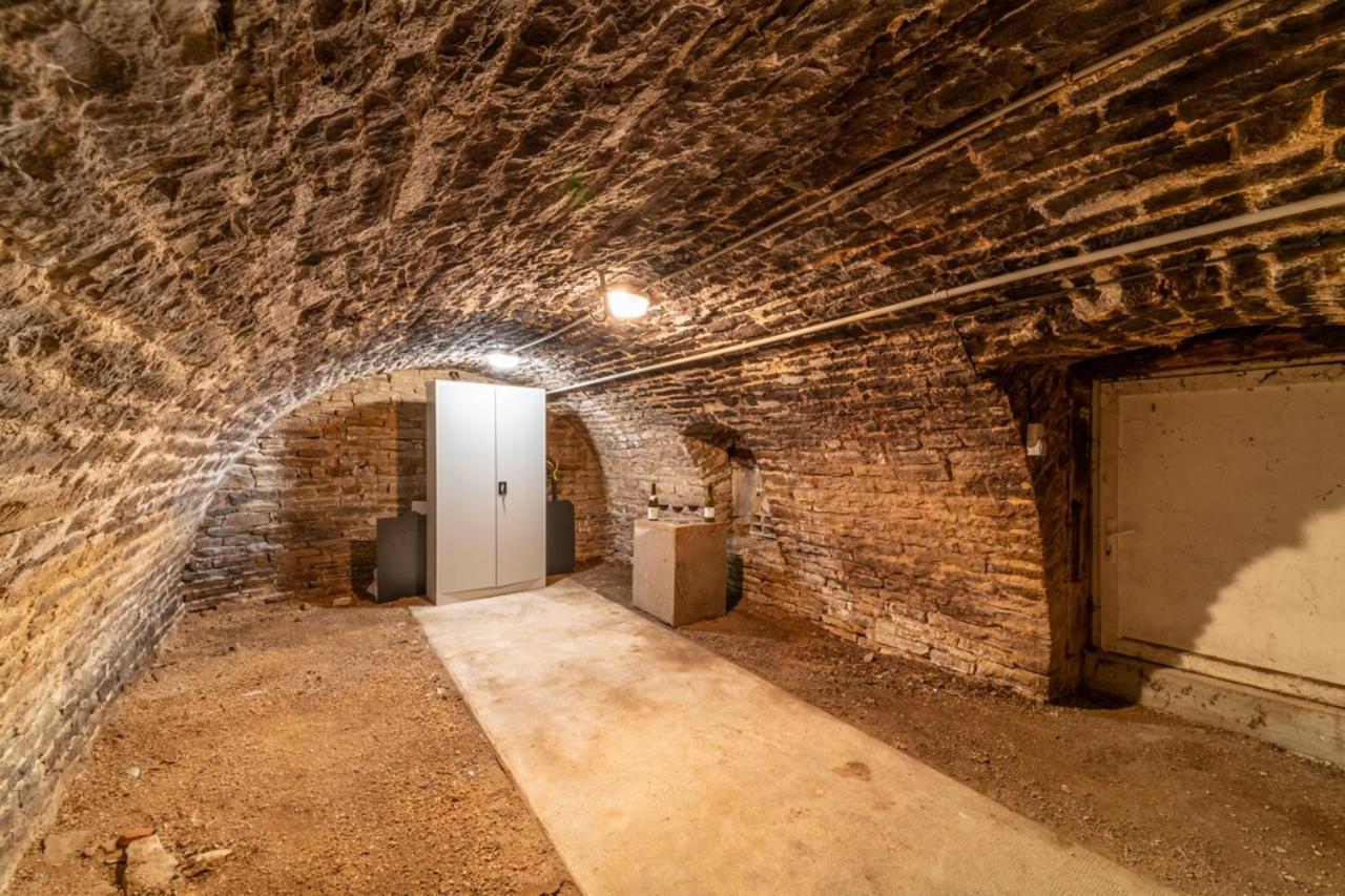 Cote Cour, 3 Chambres, Terrasses, Jardin Prive Avec Terrain De Petanque, Cave Voutee Corgoloin エクステリア 写真
